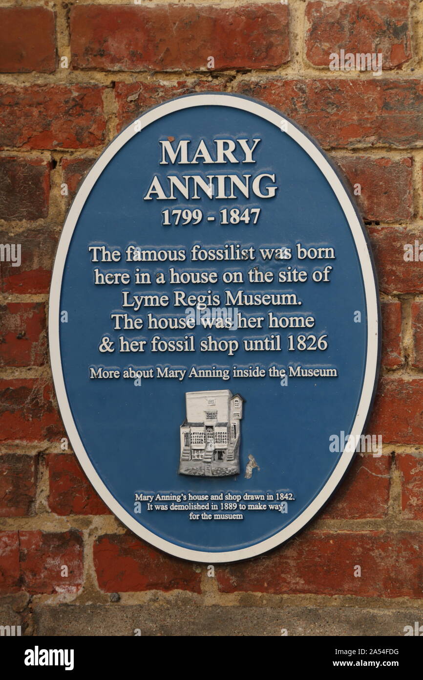 Heiraten Anning Plakette am Eingang in Lyme Regis Museum Stockfoto