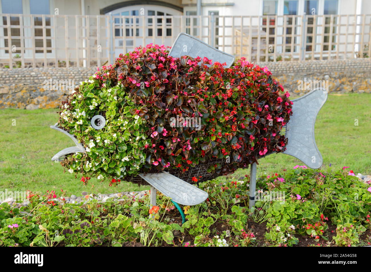 Fisch aus Blumen in einem öffentlichen Garten in Seaton, Devon Stockfoto