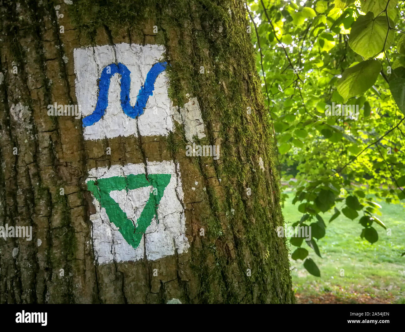 Typisch deutsche lackiert Trail Markierungen auf einer Baumstruktur, die die Richtung der Wanderwege Stockfoto