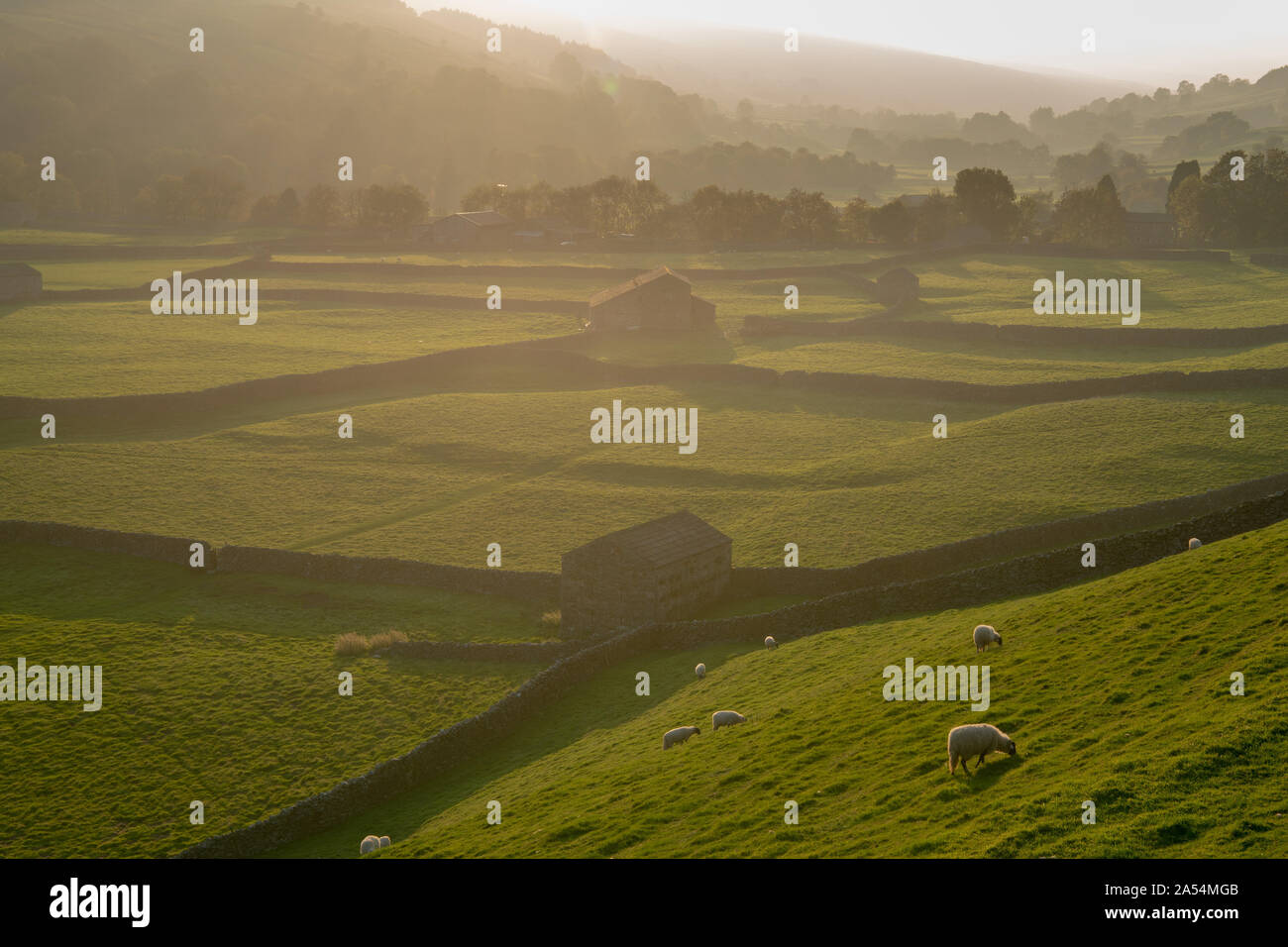 In Gunnerside Swaledale, North Yorkshire Stockfoto