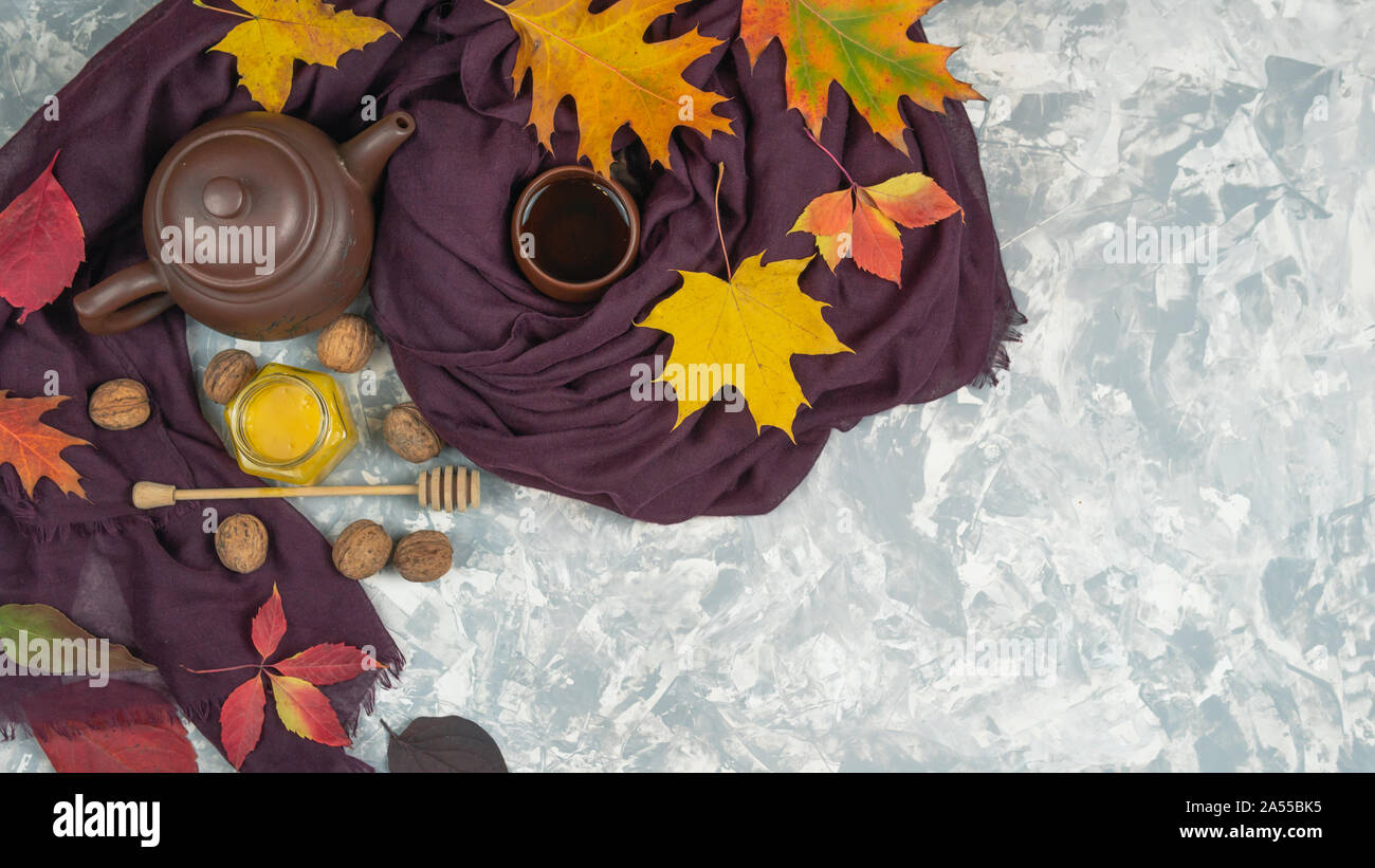Flach herbst Zusammensetzung der Hitze schal Blätter im Herbst, esche Berry und Tee mit Honig auf Pastellgrau Hintergrund, Ansicht von oben mit der Kopie Raum Stockfoto