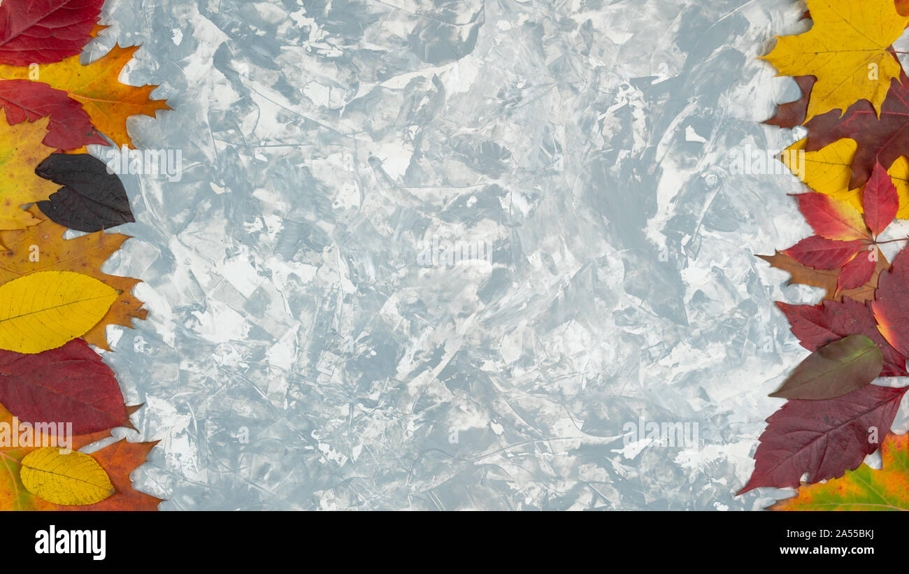 Flach herbst Komposition. Rahmen aus Herbstlaub auf Pastell grauer Hintergrund, Ansicht von oben mit der Kopie Raum Stockfoto