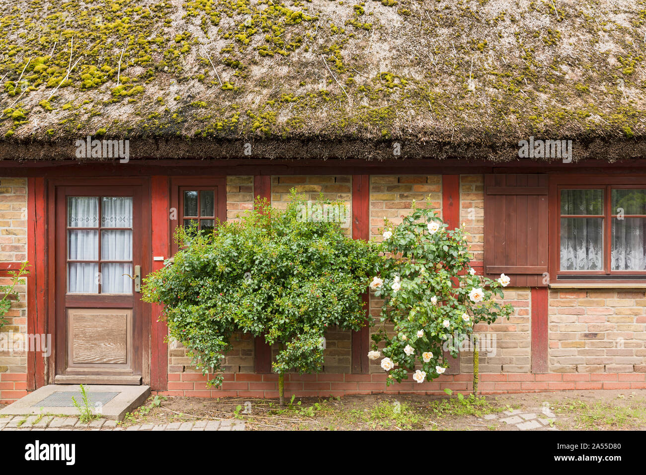 Reetdach rugen Stockfotos und bilder Kaufen Alamy