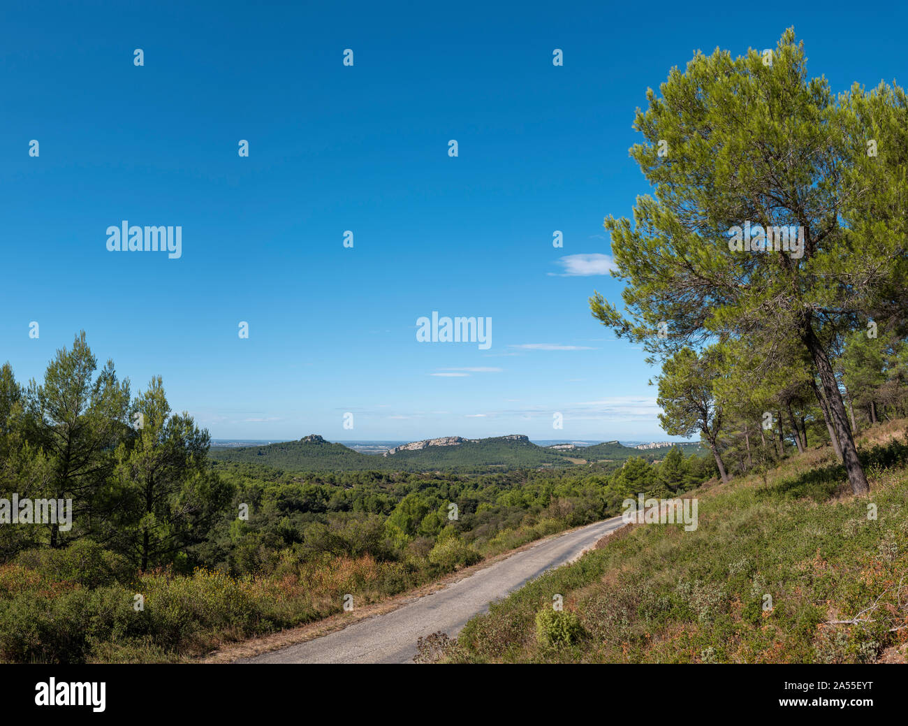 Alpilles, Provence, Frankreich. Stockfoto