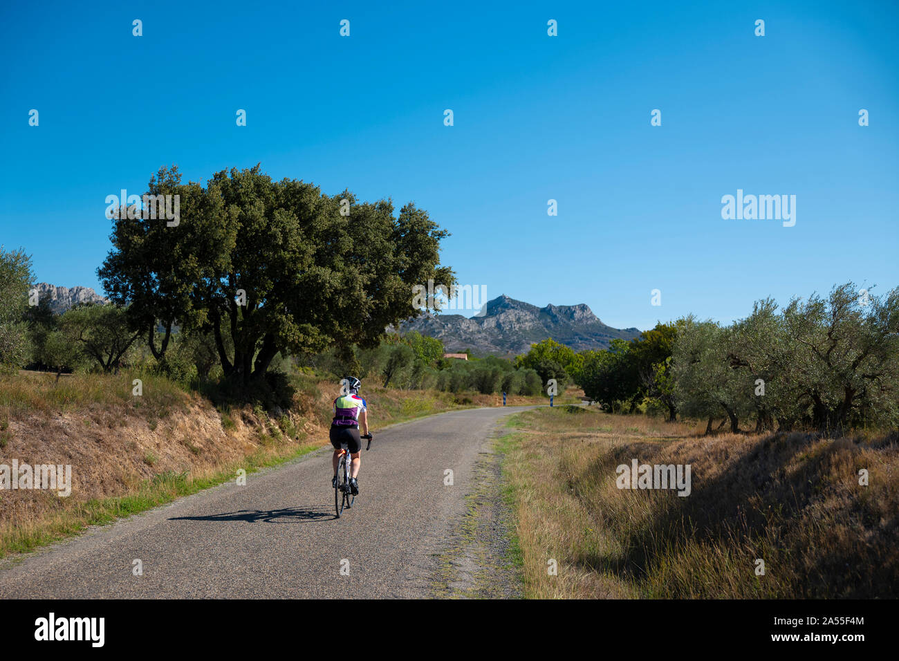 Weibliche Radfahrer, Radfahren in der Nähe von Aureille in der Provence, Frankreich. Stockfoto