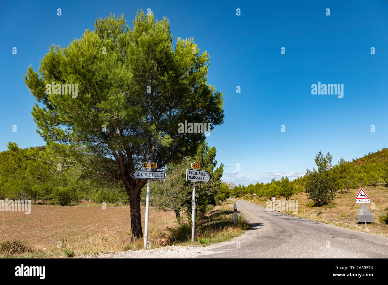 Verkehrszeichen auf der D25 in der Nähe von Aureille, Provence, Frankreich. Stockfoto