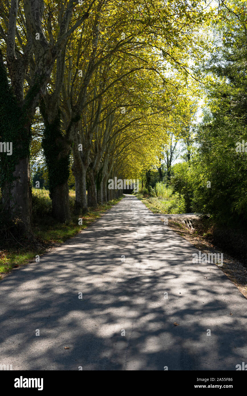 Ländlichen, ruhigen Straße in der Nähe von San Remy, Provence, Frankreich. Stockfoto