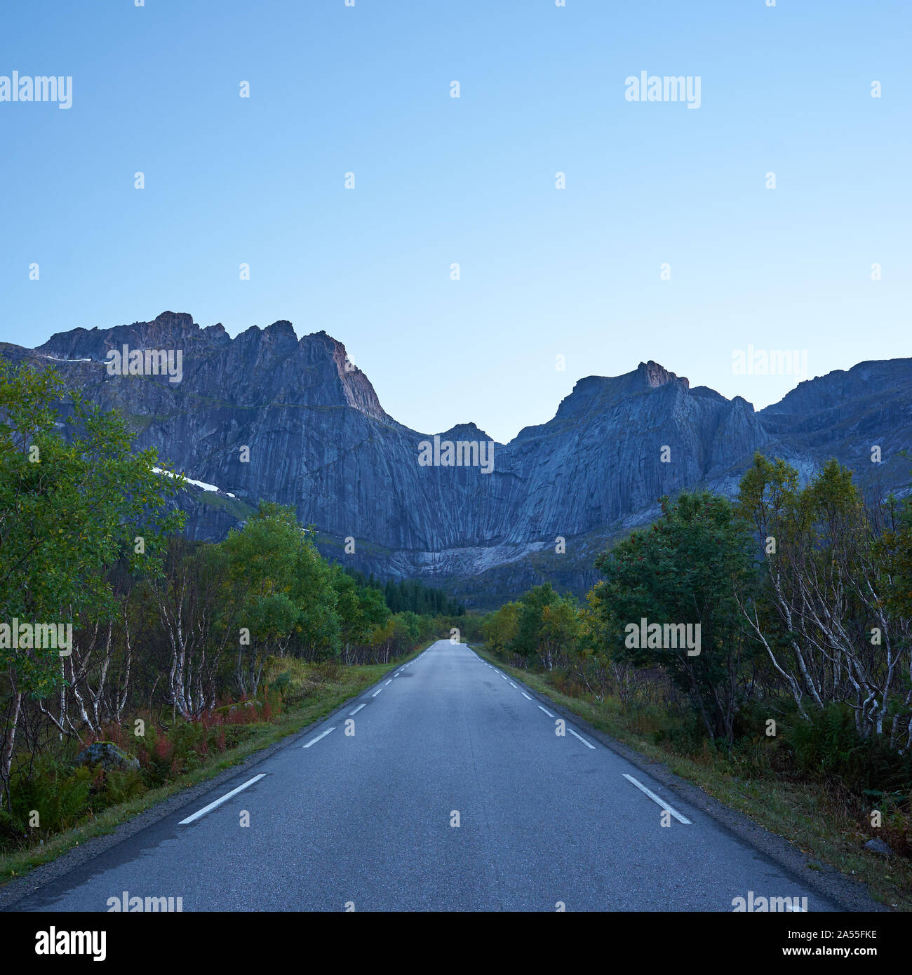 Eine Straße führt zu gagantic Berg. Rechts und links davon sind wunderschöne Wälder zu sehen. Stockfoto
