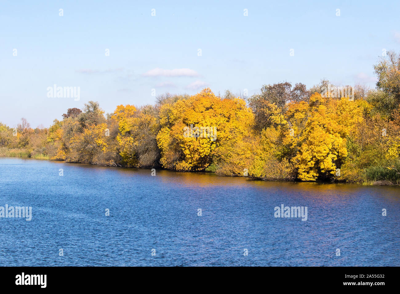 Bild Landschaft gelb Bäume am Ufer eines großen Flusses Stockfoto