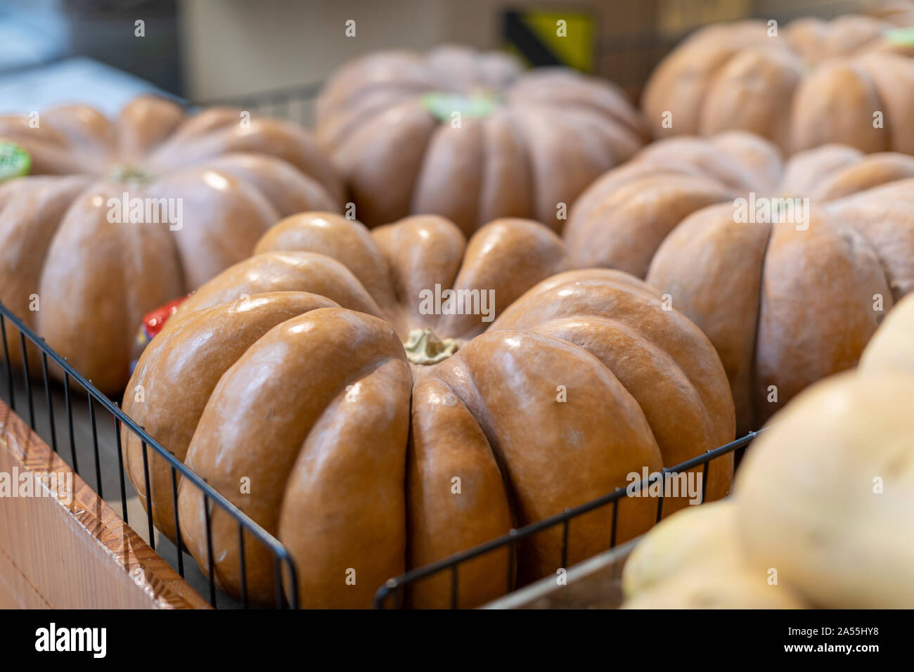 Große Kürbisse zum Verkauf im Supermarkt, Herbst Stockfoto