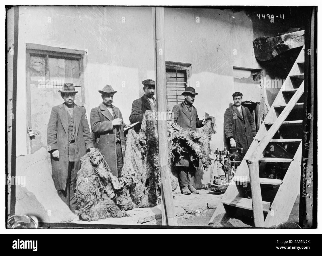 Ungewaschene Wolle Stockfoto