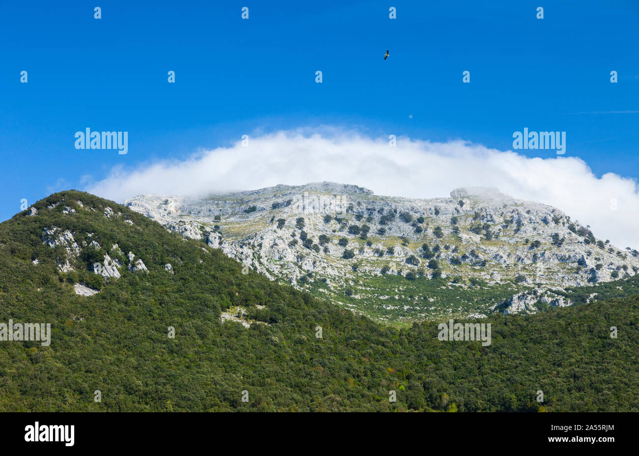 Föhnwind oder Föhn Wind, Monte Candina Candina (Berg), Liendo, Kantabrien, Spanien, Europa Stockfoto