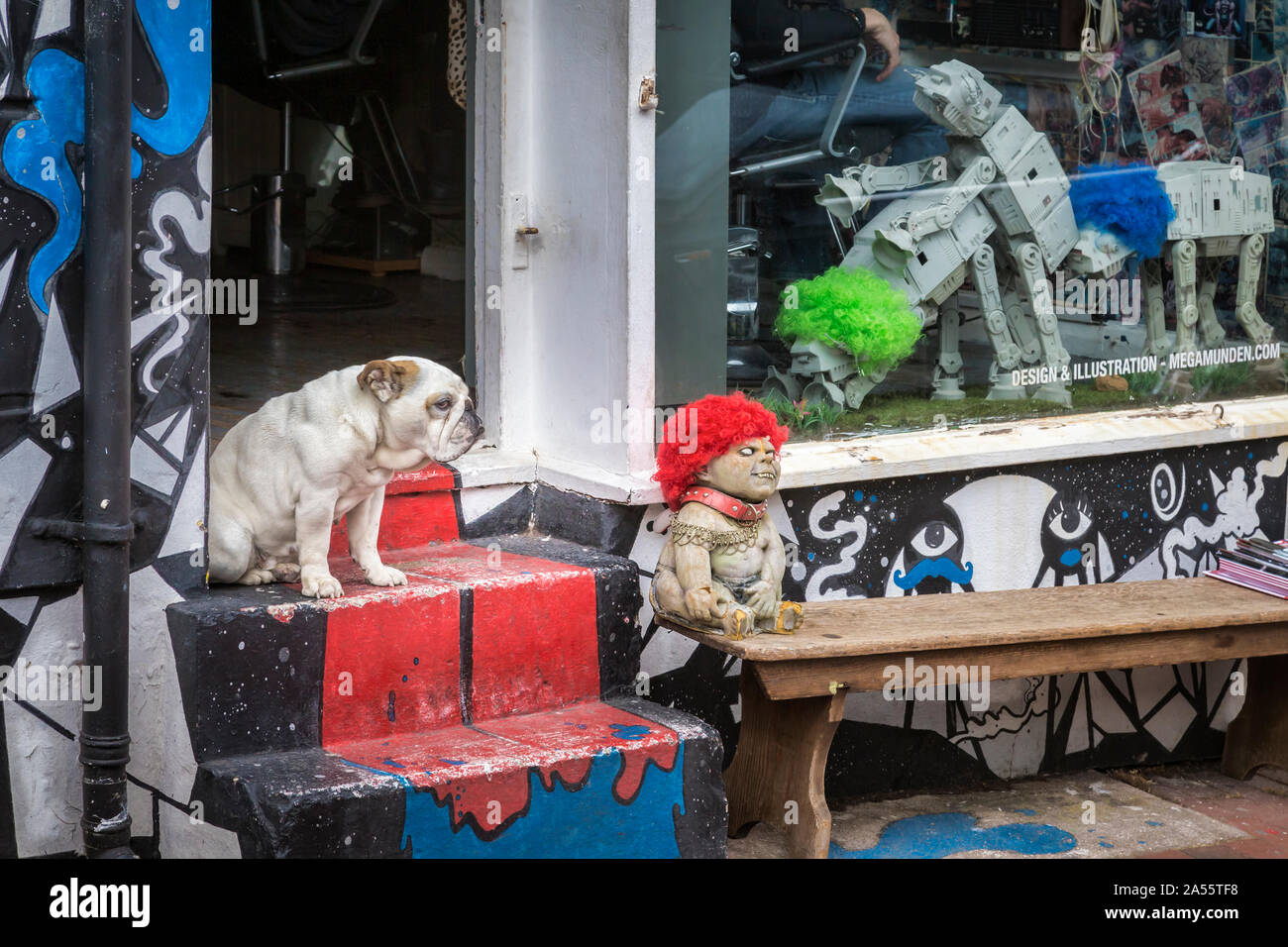 Hund und Daemon beobachten das Leben auf der Straße in Brighton Stockfoto