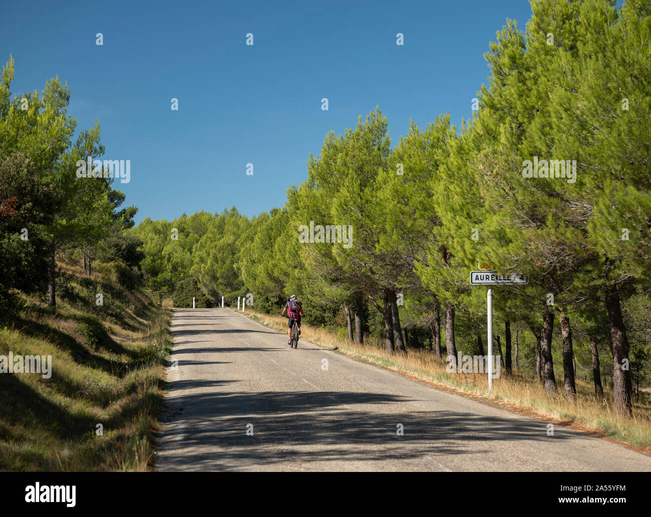 Männliche Radfahrer auf der Provence, Frankreich. Stockfoto