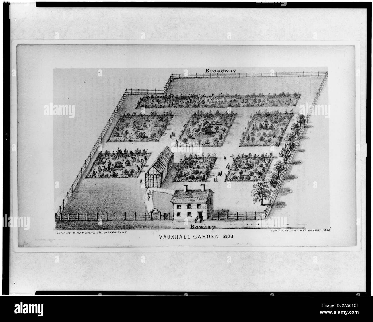 Vauxhall Garten 1803/lith. Durch G. Hayward, N.Y. Stockfoto