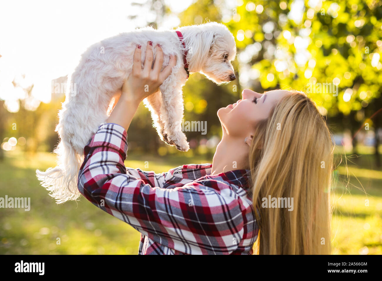 Hund Besitzer Liebe Stockfotos und -bilder Kaufen - Alamy