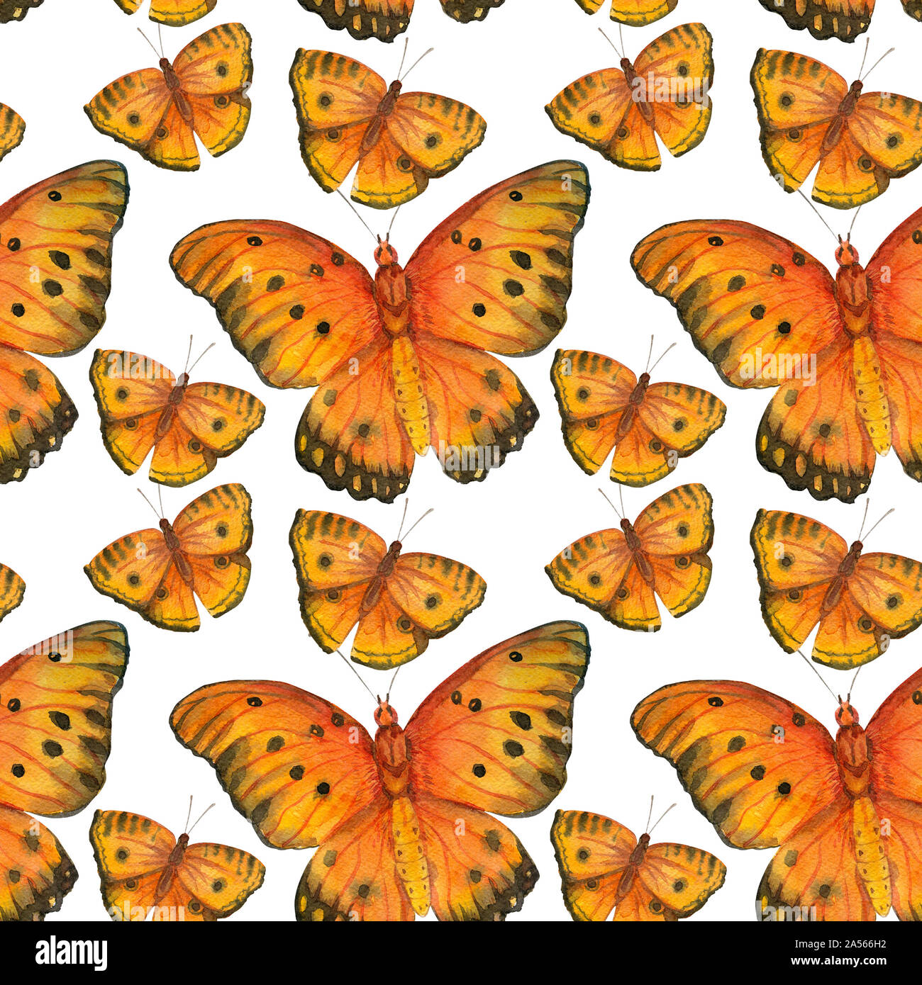 Eingestellt von isolierten Aquarell Schmetterlinge auf weißem Hintergrund. Jahrgang Sommer isoliert Frühjahr kunst Aquarell Illustrationen. Hochzeit Karte Design, Insekt Stockfoto
