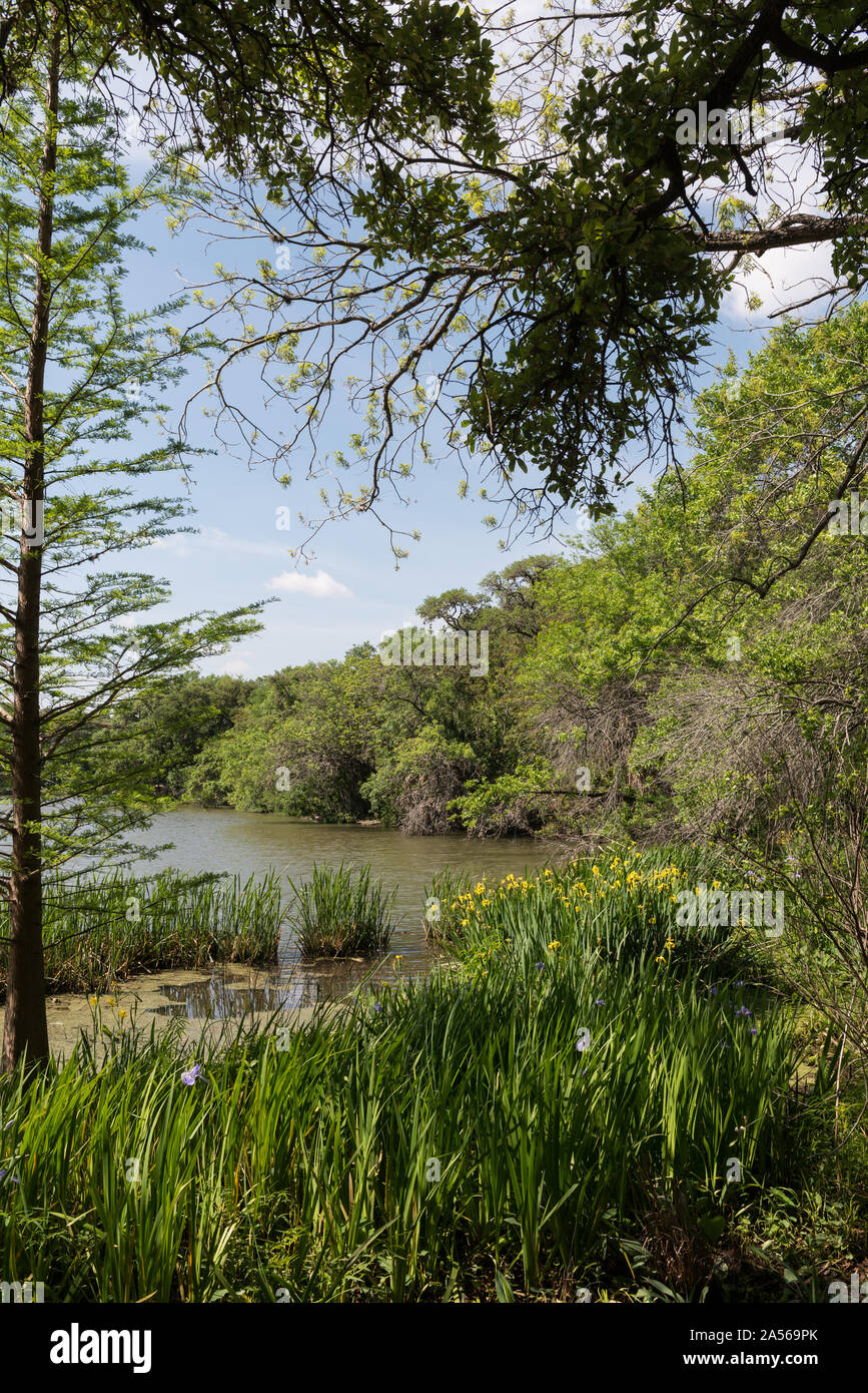 Ausblick auf das Jahr 1916 italienisch anmutenden Stil Villa Laguna Gloria, einer von zwei Standorten der zeitgenössischen Kunst Museum vor Ort in Austin, Texas bekannt, wie einfach die Moderne Stockfoto