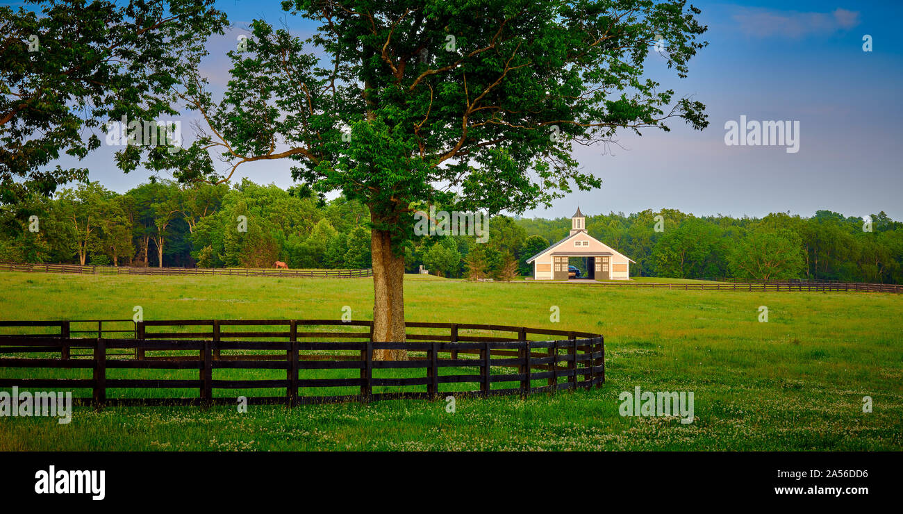 Kentucky Horse Scheune mit Feld im Vordergrund. Stockfoto