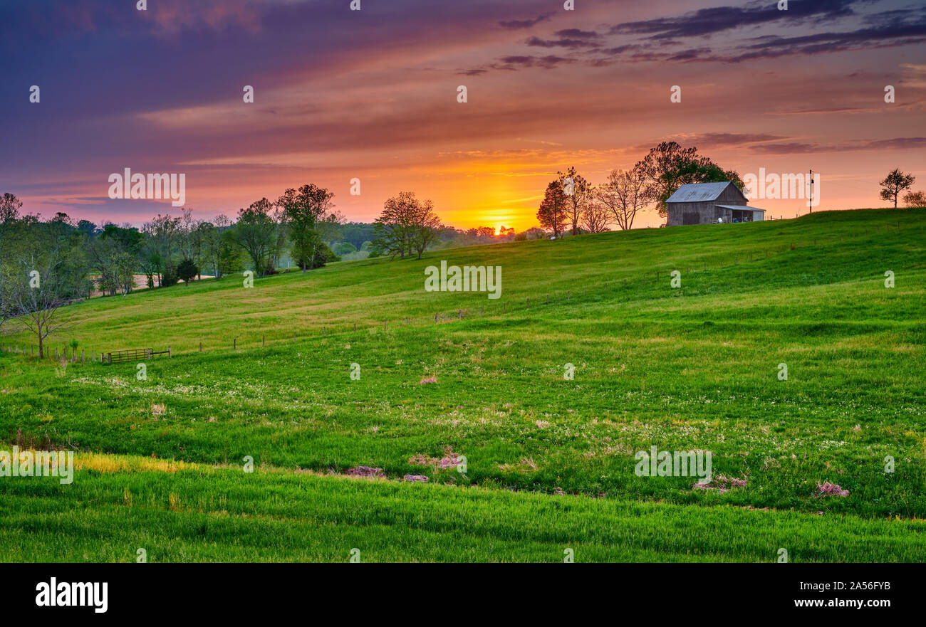 Tabakscheune mit grünen Fiield bei Sonnenuntergang. Stockfoto