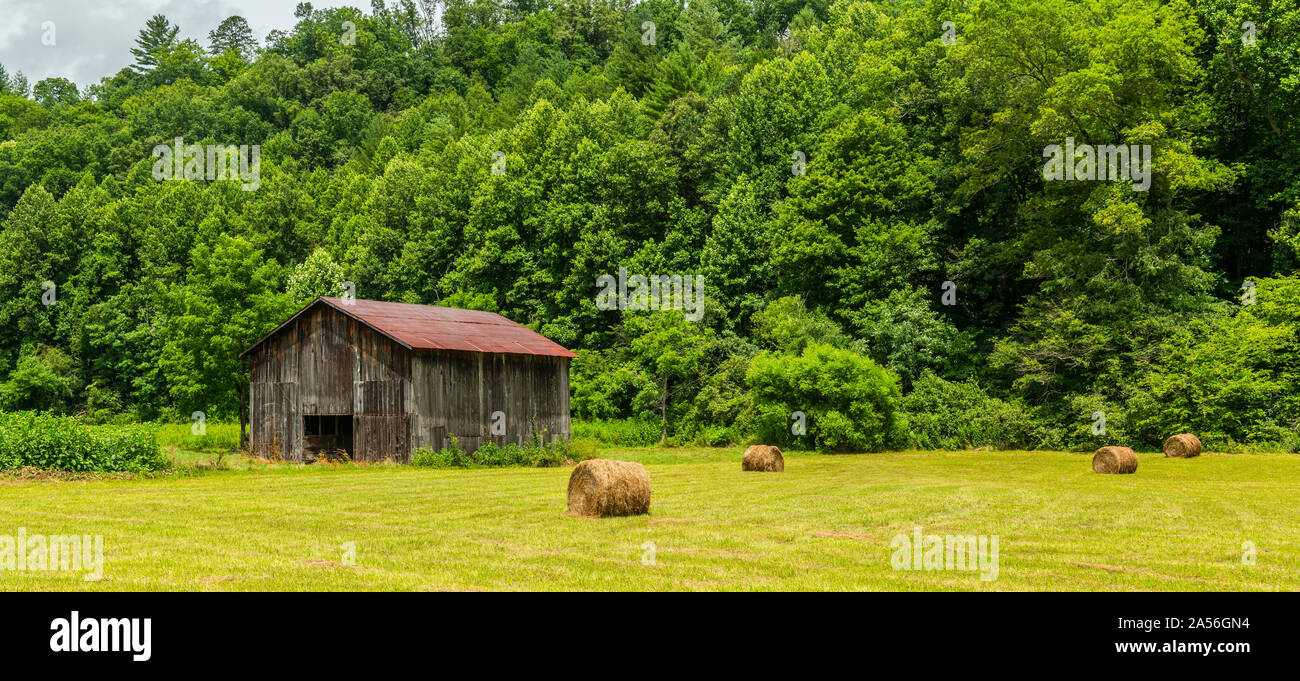 North Carolina Scheune mit Rundballen in Feld 5. Stockfoto