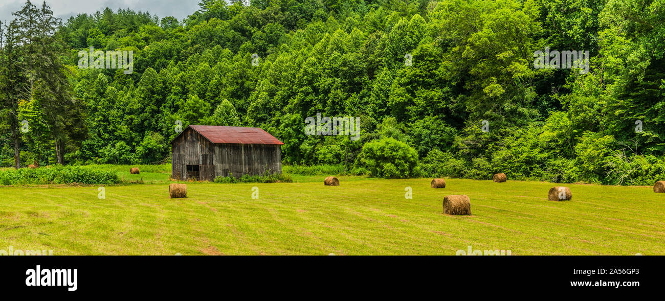 North Carolina Scheune mit Rundballen in Feld 1. Stockfoto