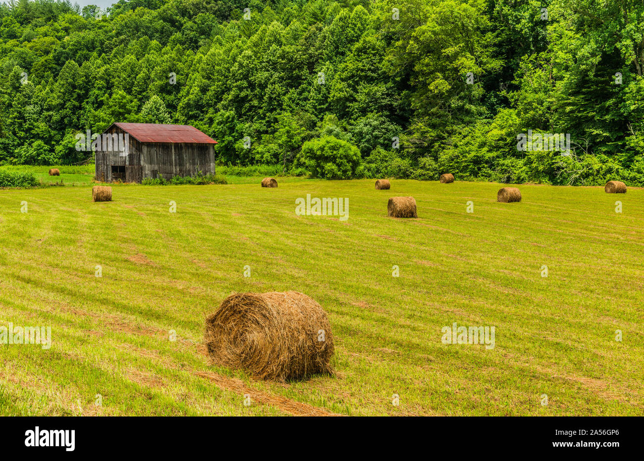 North Carolina Scheune mit Rundballen in Feld 3. Stockfoto