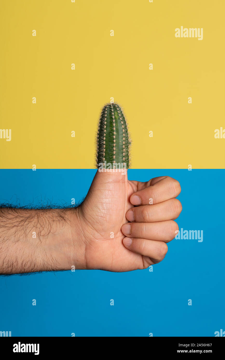 Studio shot von der Hand des Menschen, der Daumen hoch, der Daumen ist durch ein Kaktus ausgetauscht, gegen ein gelber und blauer Hintergrund Stockfoto