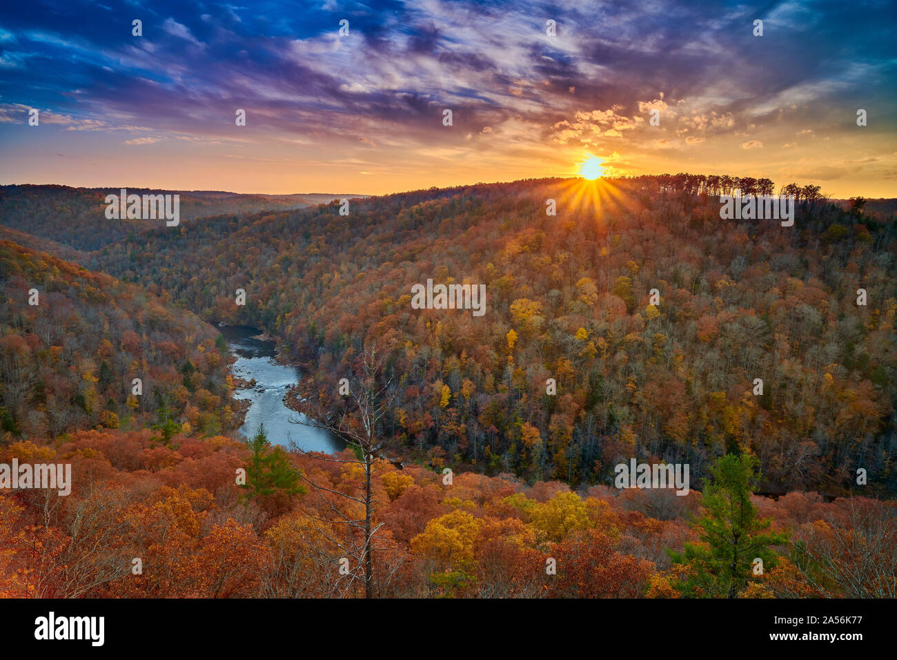 East Rim übersehen - Big South Fork National River und Erholungsgebiet, TN. Stockfoto