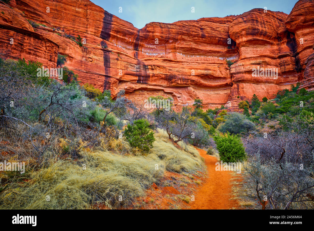 Wanderweg in Sedona, AZ. Stockfoto