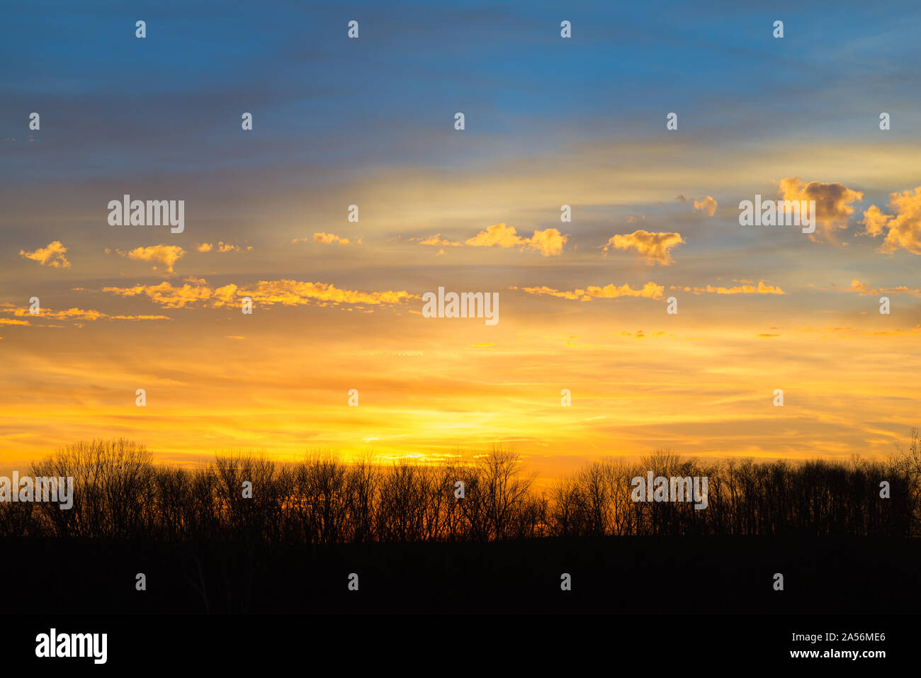 Earl Winter Sonnenuntergang, Kentucky #3. Stockfoto