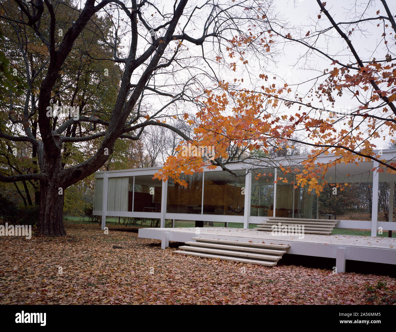 Ansicht des Architekten Mies van der Rohe der klassischen Moderne Farnsworth House, Plano, Illinois Stockfoto