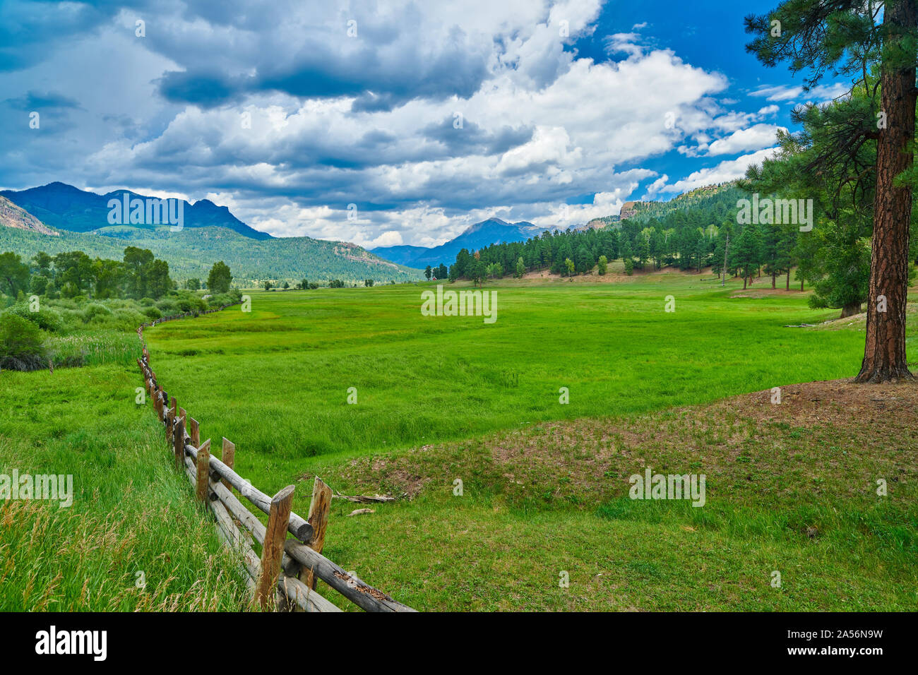 Bergwiese mit Zaun. Stockfoto