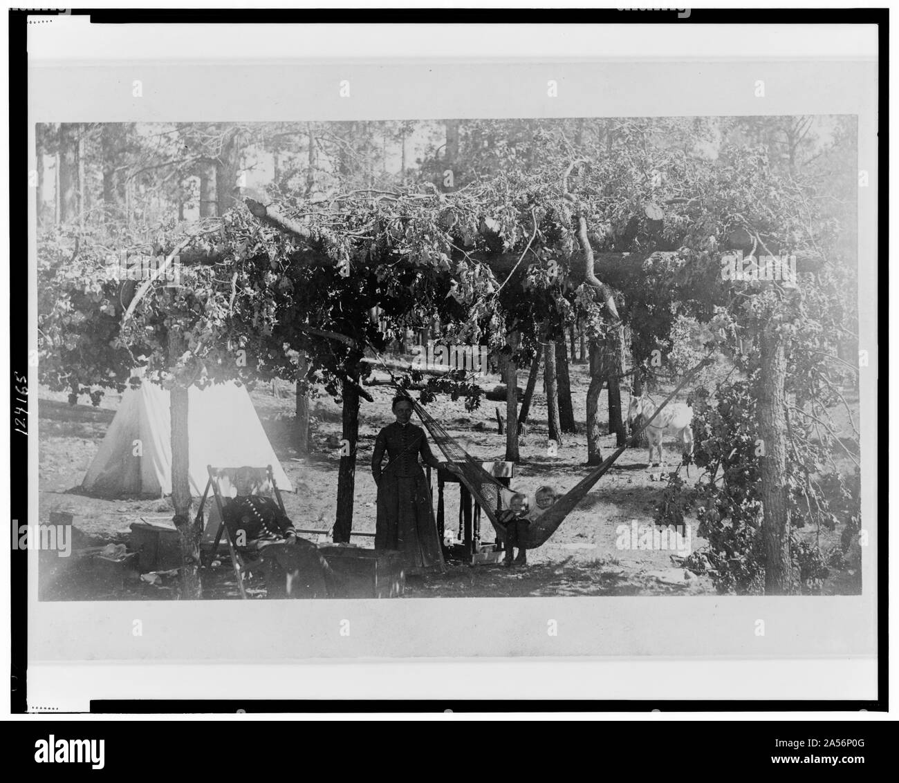 Blick auf unsere Romada, in Camp in Baker's Butte, Mogollon Berge, Arizona Stockfoto