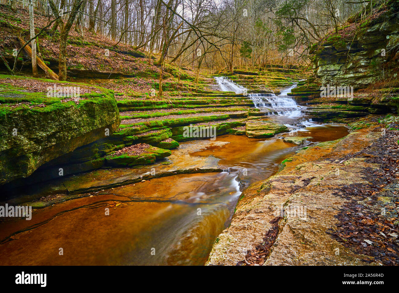 Raven Run Creek. Stockfoto