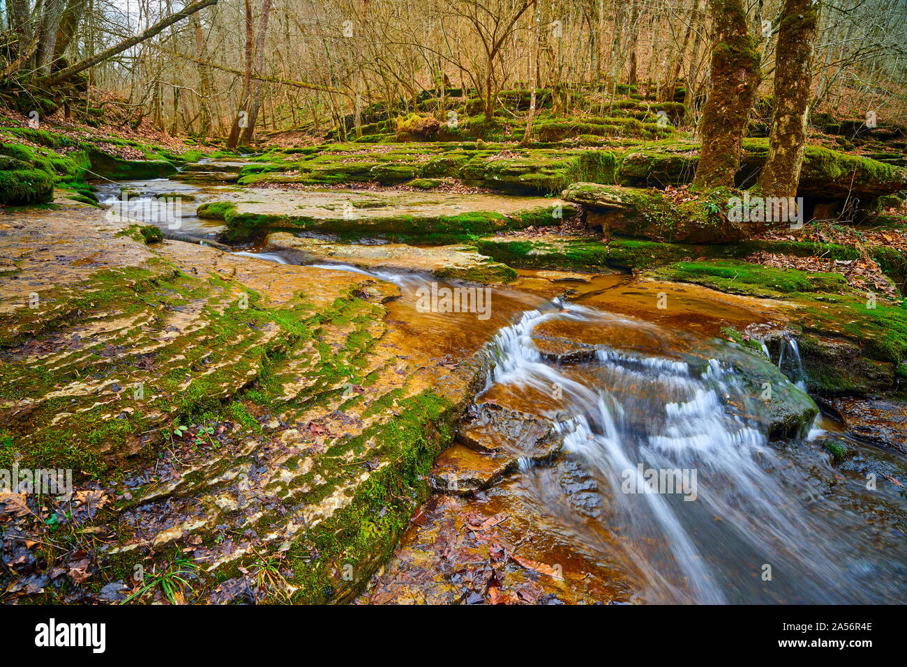 Raven Run Creek. Stockfoto