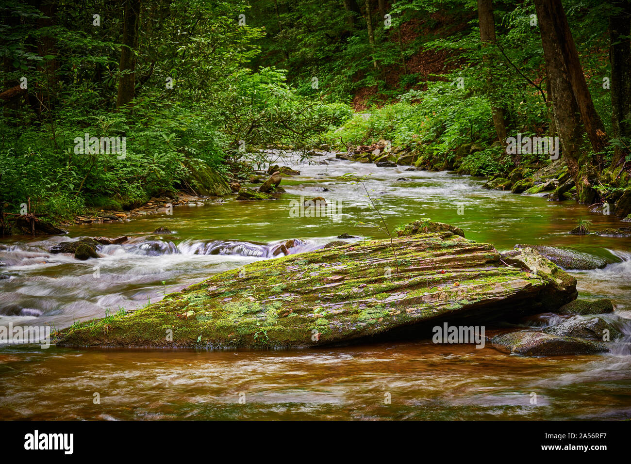 Moos bedeckt Rock in Mountian Stream. Stockfoto