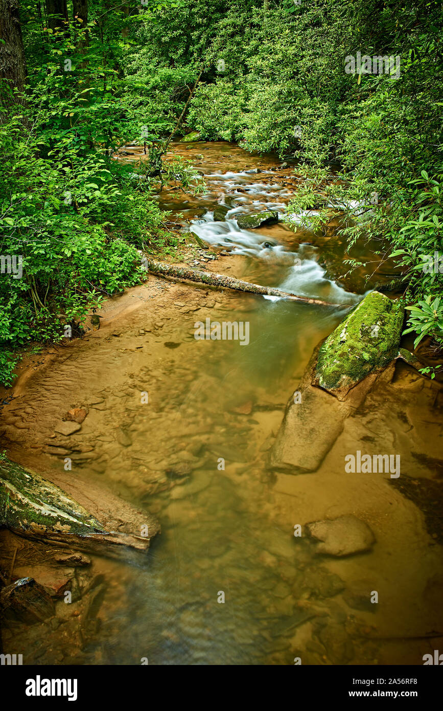 Mountain Stream Stockfoto