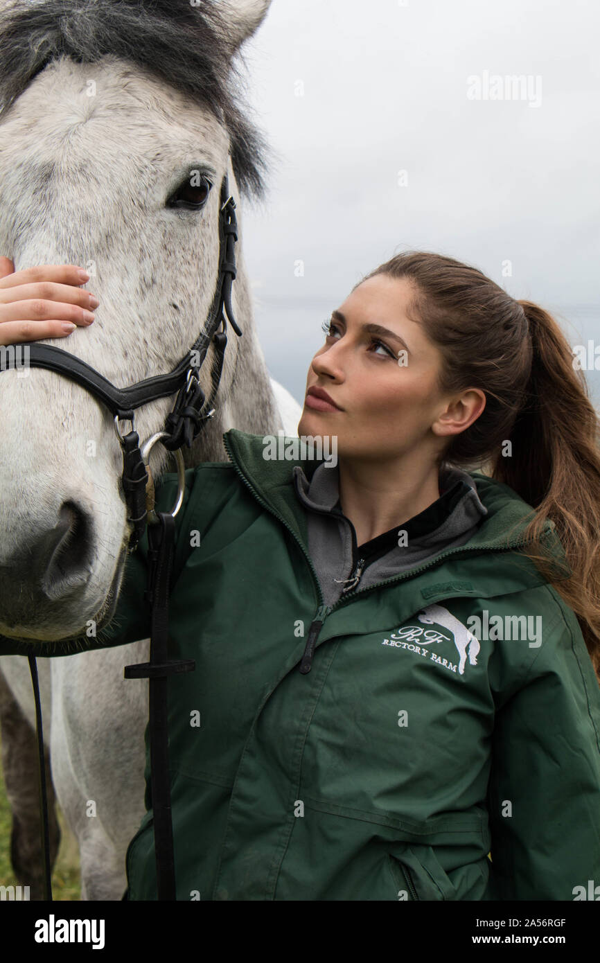 Sophie, Pferd, Porträt, 2018 2. Stockfoto