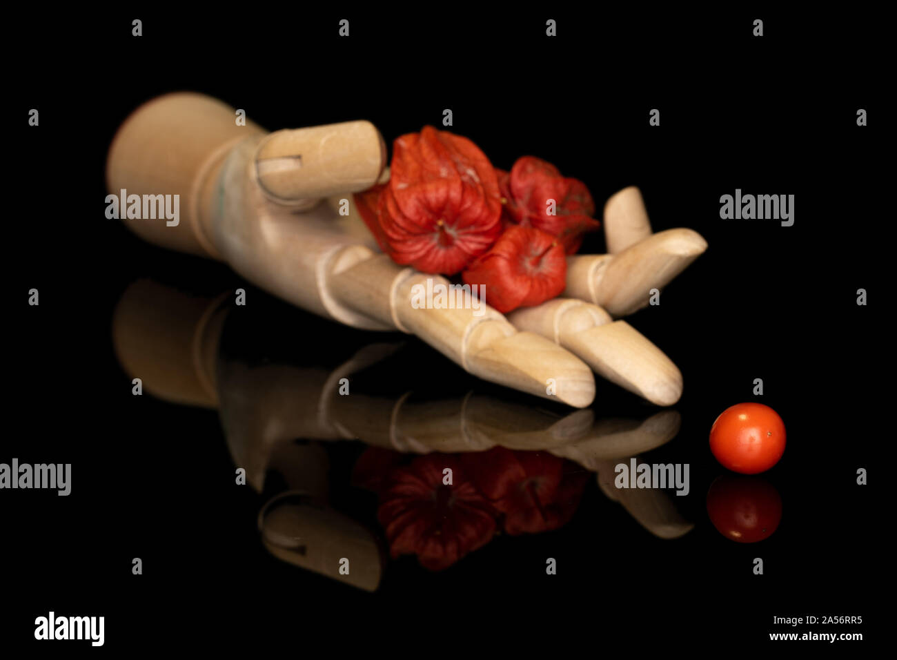 Gruppe von vier ganze Frische orange Physalis mit hölzernen Hand auf schwarzem Glas isoliert Stockfoto