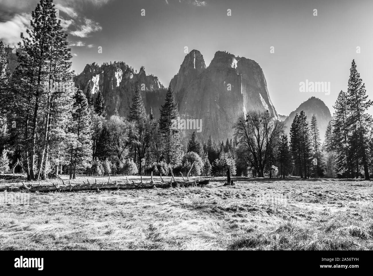 Cathedral Rocks mit Medow B&W. Stockfoto