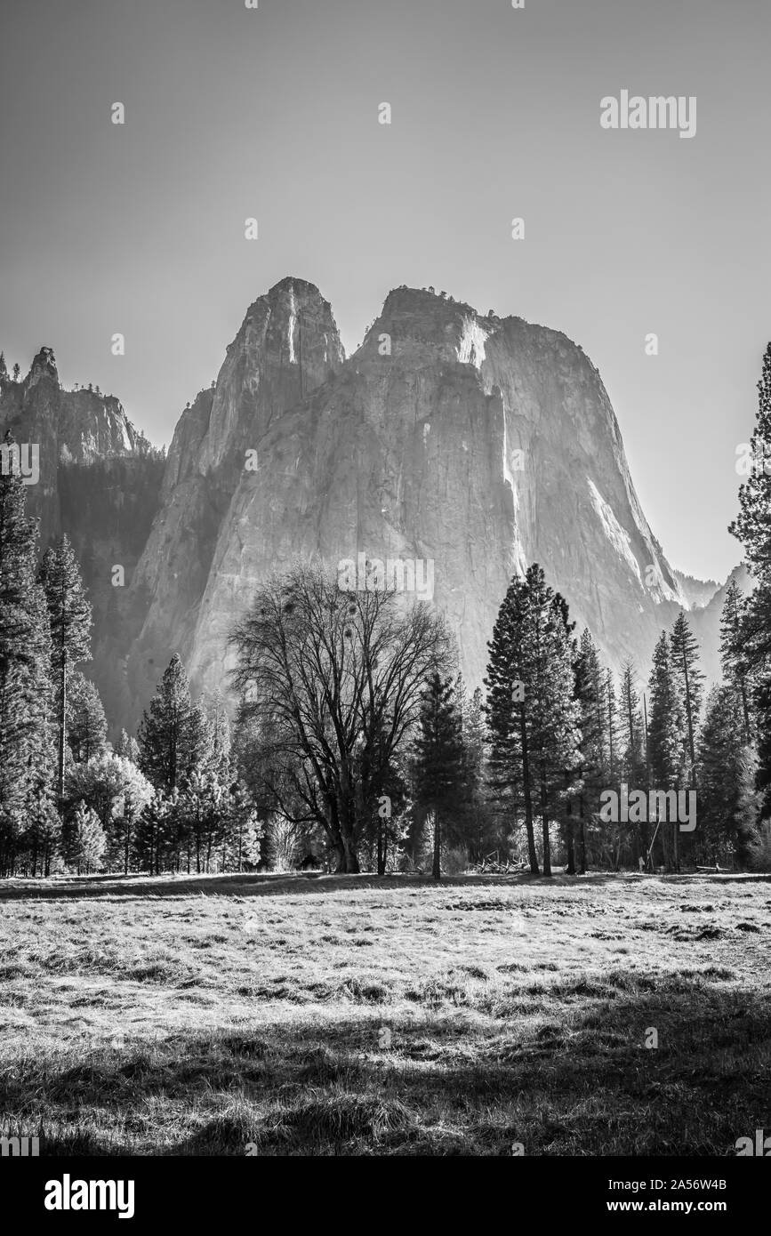 Cathedral Rocks mit Medow B&W. Stockfoto