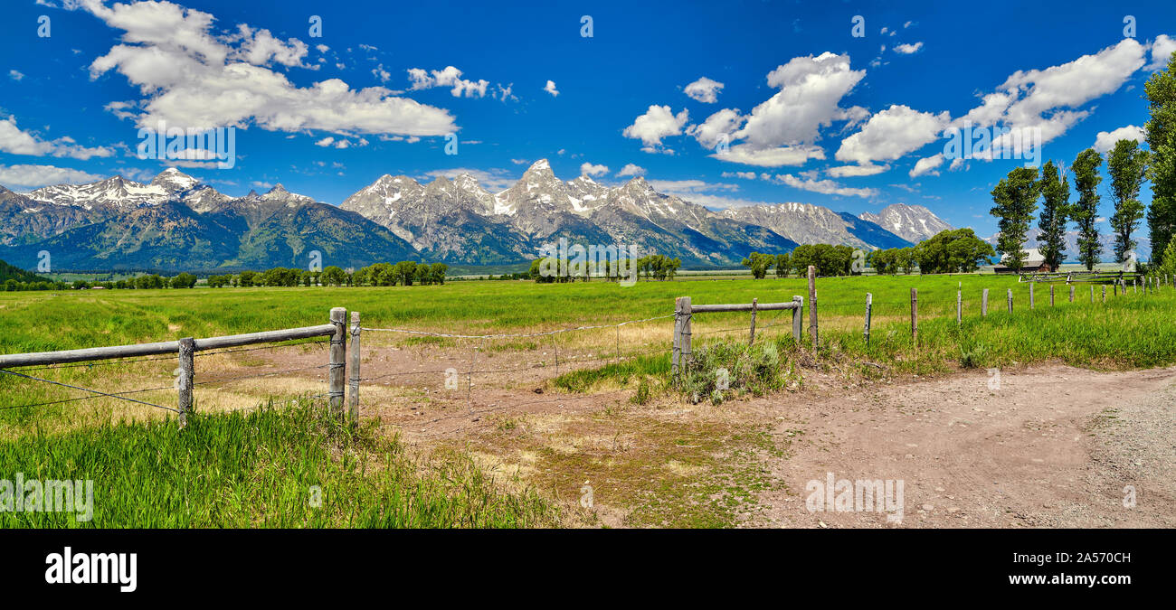 Zaun und Feld mit dem Grand Teton Berge im Hintergrund. Stockfoto