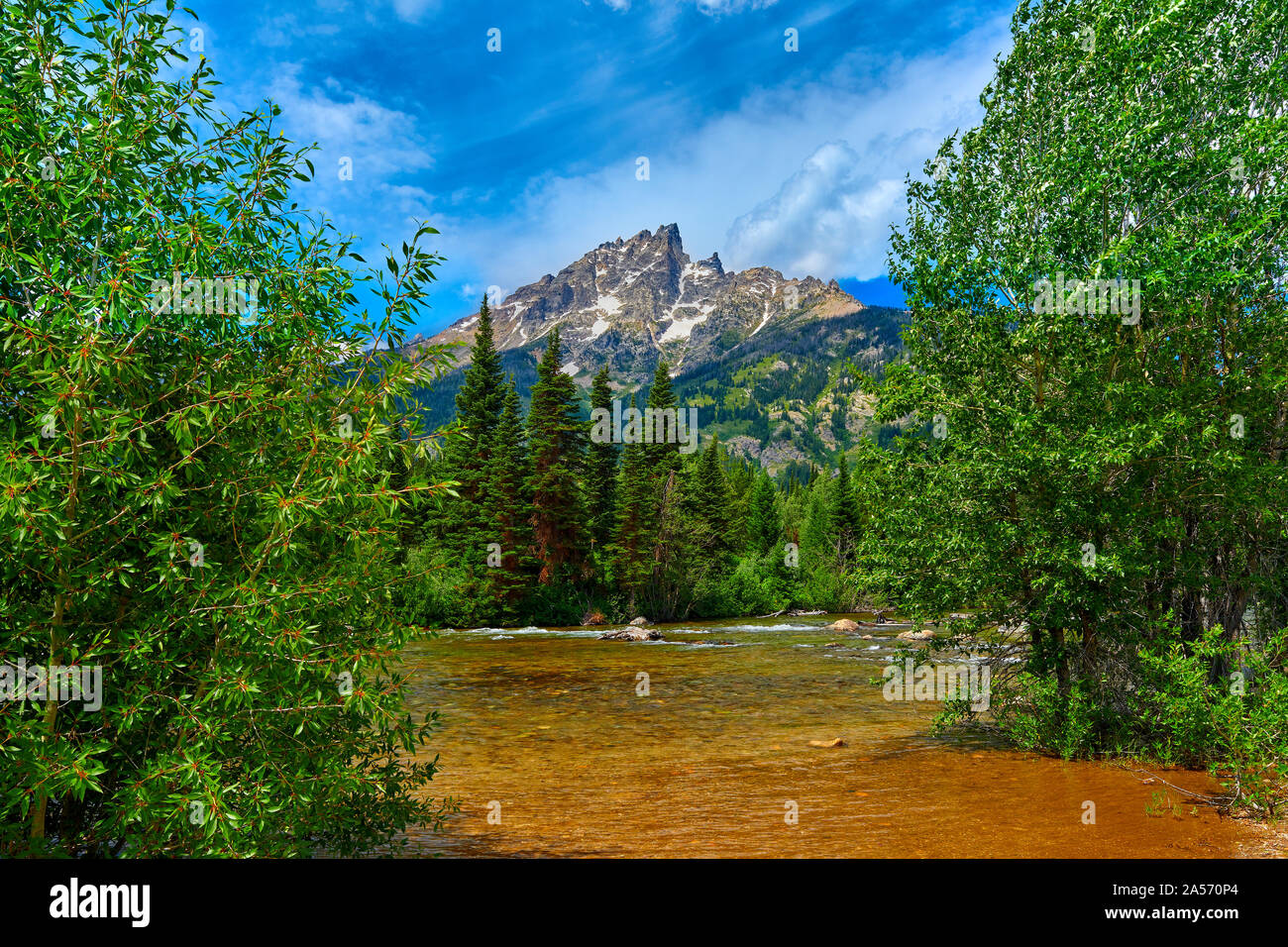 Cottonwood Creek mit Blick auf die teewinot Berg. Stockfoto