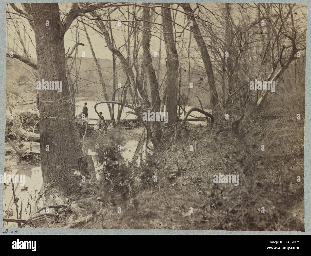 Blick auf rapidan River, Va Stockfoto