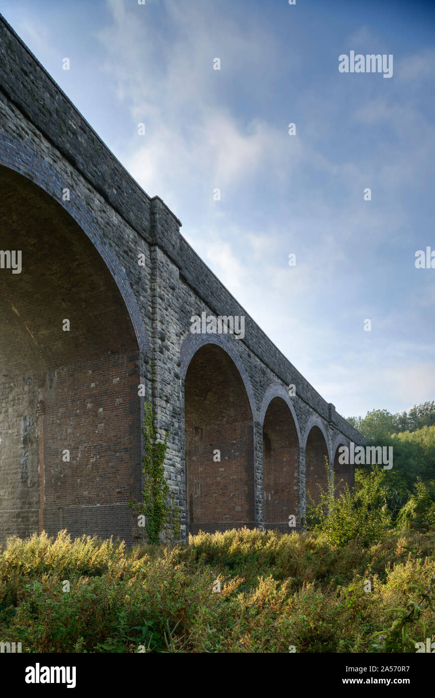 Die stillgelegte Charlton Viadukt, einst Teil der Somerset und Dorset Eisenbahn, in Shepton Mallet, Somerset. Stockfoto