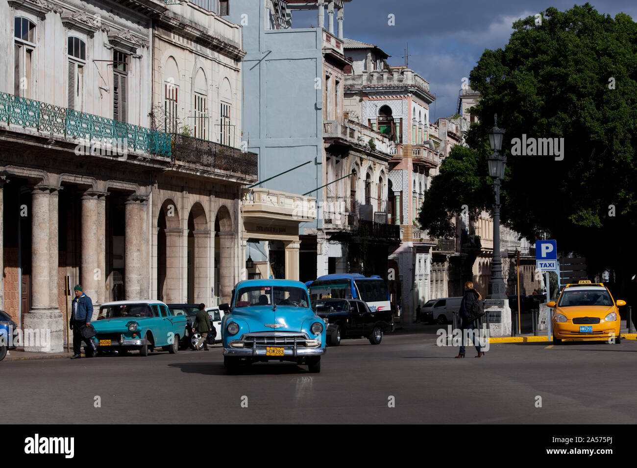 Oldtimer sind überall auf dem Paseo de Martí (del Prado), Havanna, Kuba Stockfoto