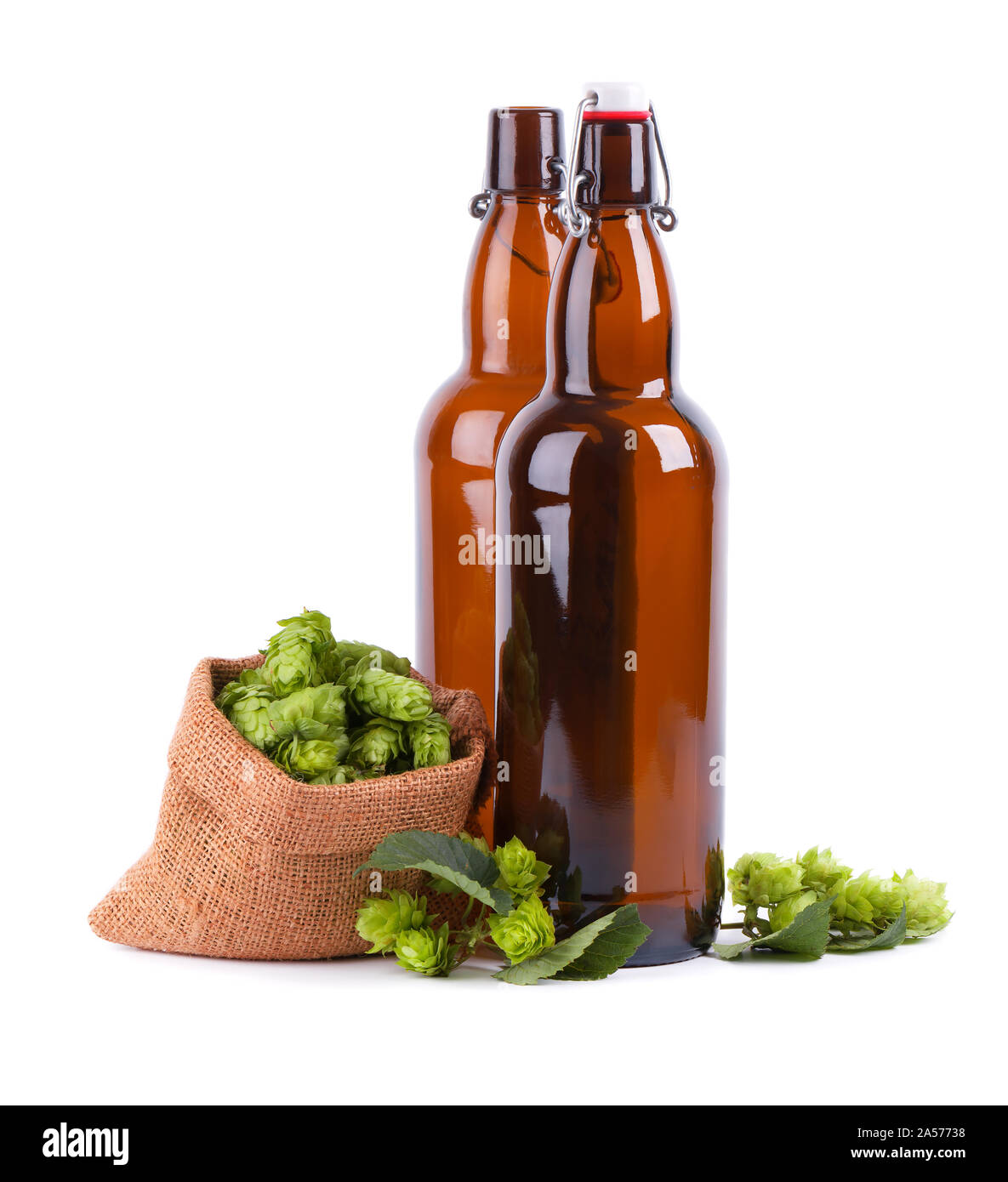 Glasflaschen für Kraftpapier Bier mit frischen grünen Zweig der Hopfen, auf weißem Hintergrund. Stockfoto