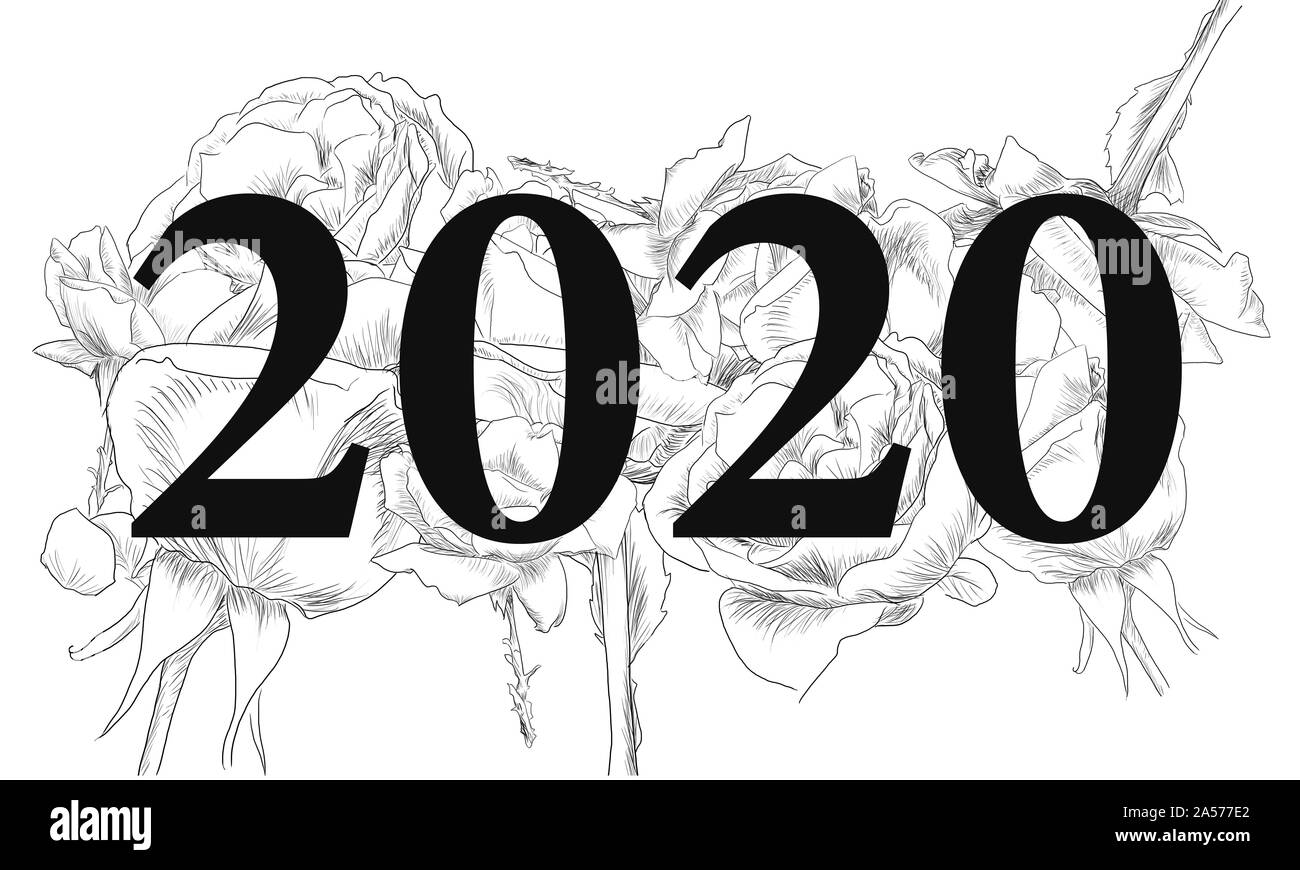 Fine Art der Rosen 2020 black durch jziprian Stockfoto