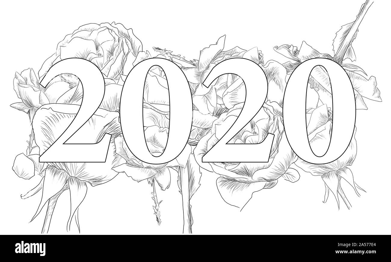 Fine Art der Rosen 2020 white Farbe durch jziprian Stockfoto